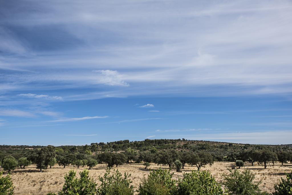 ויאנה דו אלנטז'ו Herdade Dos Alfanges "The Barn" מראה חיצוני תמונה